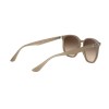Ray-Ban RB 4306 (616613)