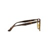 Ray-Ban RB 4306 (710/M1)