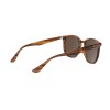 Ray-Ban RB 4306 (820/73)