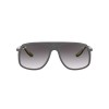 Ray-Ban Scuderia Ferrari Collection RB 4308M (F6088G)