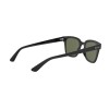 Ray-Ban RB 4323 (601/9A)