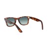 Ray-Ban Wayfarer Ease RB 4340 (63973M)