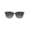 Ray-Ban RB 4362 (65718G)