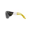 Ray-Ban Scuderia Ferrari Collection RB 4367M (F67287)