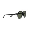 Ray-Ban RB 4376 (601/71)