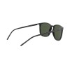 Ray-Ban RB 4387 (601/71)