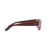 Ray-Ban RB 4388 (6648G8)