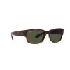 Ray-Ban RB 4388 (710/31)
