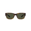 Ray-Ban RB 4388 (710/31)