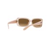 Ray-Ban RB 4389 (6644M2)