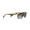Ray-Ban Scuderia Ferrari RB 4393M (F62411)
