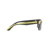 Ray-Ban Scuderia Ferrari RB 4393M (F62411)