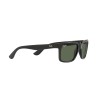 Ray-Ban Scuderia Ferrari RB 4393M (F65071)