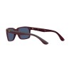 Ray-Ban Scuderia Ferrari RB 4393M (F67980)