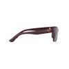 Ray-Ban Scuderia Ferrari RB 4393M (F67980)