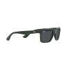 Ray-Ban Scuderia Ferrari RB 4393M (F68087)