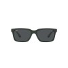 Ray-Ban Scuderia Ferrari RB 4393M (F68087)
