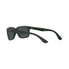 Ray-Ban Scuderia Ferrari RB 4393M (F68087)