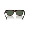 Ray-Ban Warren RB 4396 (135971)