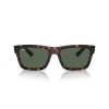 Ray-Ban Warren RB 4396 (135971)