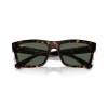 Ray-Ban Warren RB 4396 (135971)