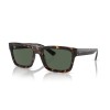 Ray-Ban Warren RB 4396 (135971)