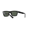 Ray-Ban Warren RB 4396 (667771)