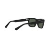 Ray-Ban Warren RB 4396 (667771)