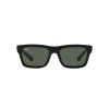 Ray-Ban Warren RB 4396 (667771)