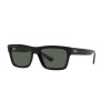 Ray-Ban Warren RB 4396 (667771)