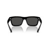 Ray-Ban Warren RB 4396 (667787)