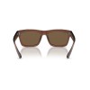 Ray-Ban Warren RB 4396 (667873)