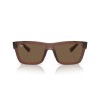 Ray-Ban Warren RB 4396 (667873)