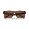 Ray-Ban Warren RB 4396 (667873)