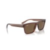 Ray-Ban Warren RB 4396 (667873)