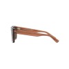 Ray-Ban Warren RB 4396 (66789A)