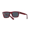 Ray-Ban Warren RB 4396 (667987)
