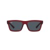 Ray-Ban Warren RB 4396 (667987)