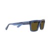 Ray-Ban Warren RB 4396 (668073)
