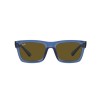 Ray-Ban Warren RB 4396 (668073)