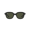 Ray-Ban Erik RB 4398 (901/31)