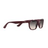 Ray-Ban Scuderia Ferrari RB 4404M (F68511)