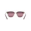 Ray-Ban New Clubmaster RB 4416 (6654G9)