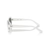 Ray-Ban RB 4421D (677287)