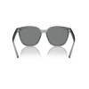 Ray-Ban RB 4423D (645087)
