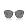 Ray-Ban RB 4423D (645087)