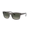 Ray-Ban RB 4428 (667571)