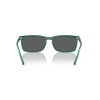 Ray-Ban RB 4435 (6615B1)