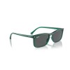Ray-Ban RB 4435 (6615B1)