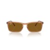 Ray-Ban RB 4435 (676433)